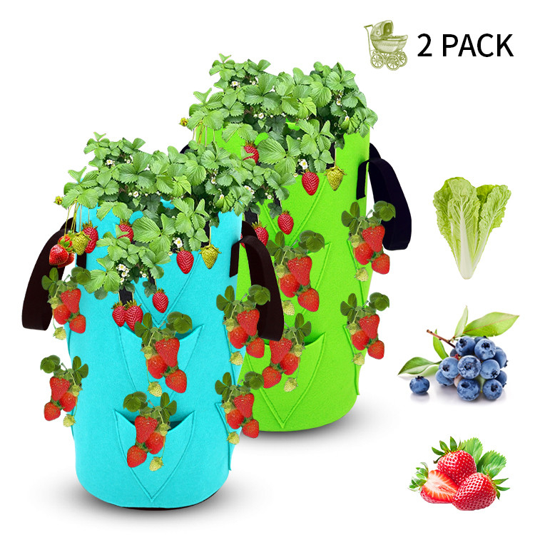Nonwoven Fabric Strawberry Grow Bag Plant Pots